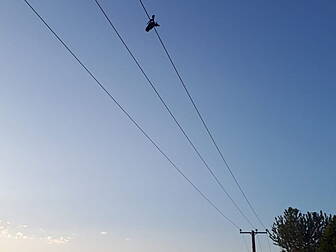 Man Electrocuted While Trying...